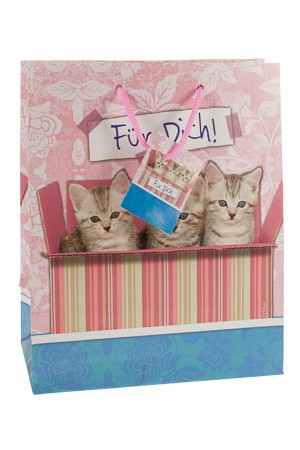 Geschenktüte 'Kätzchen im Karton', mittel