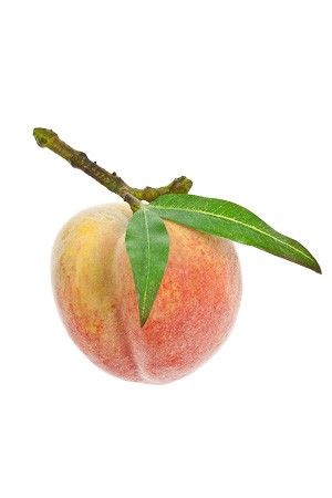 Deko-Frucht 'Pfirsich'
