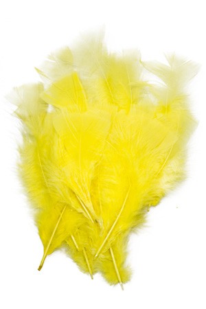 Deko-Federn gelb